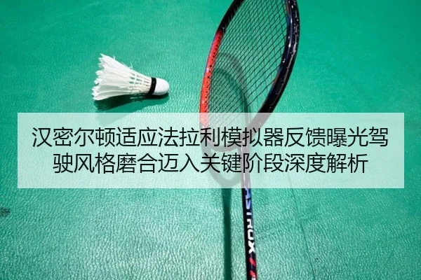 han-mi-er-dun-shi-ying-fa-la-li-mo-ni-qi-fan-kui-bao-guang-jia-shi-feng-ge-mo-he-mai-ru-guan-jian-jie-duan-shen-du-jie-2-166.jpg